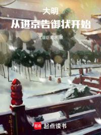 大明：从进京告御状开始！