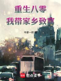 重生八零：我带家乡致富